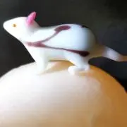 白ねずの画像