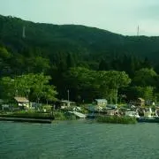 えびの画像