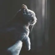 Kの画像