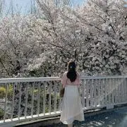 サキの画像