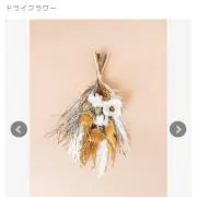 Chonoの画像