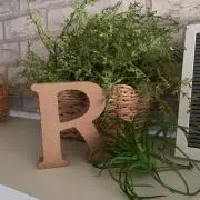 Ｒ.の画像