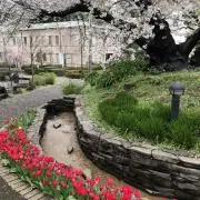 kyukuの画像