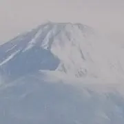 Image of yaharitan