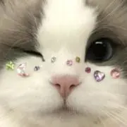 sunny☆の画像