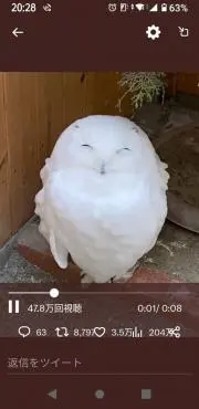 nkの画像