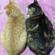 刹那