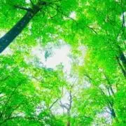 プロフ必読！あおいもりの画像