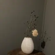 veraの画像