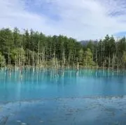 チャッキーの画像