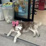 月の画像