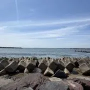 のんの画像