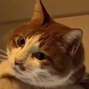 坂本