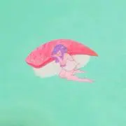 トーマの画像