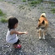 yukiの画像
