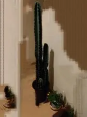 まごころ。