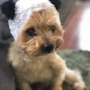 あぁちゃん