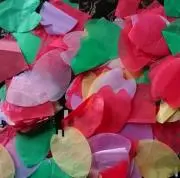 ジャックの画像