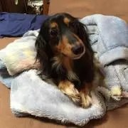 パン屋さんの画像