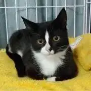 まあるの画像