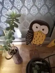 EMIの画像