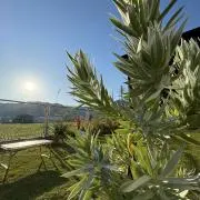 Yuu★PLANTS&OTHERS★の画像