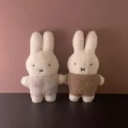 のんの画像