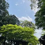 みくり