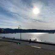 Daigoの画像