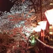 ゆうきの画像