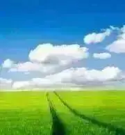 こさやまの画像