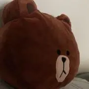 くまのすけの画像