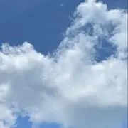 yの画像