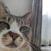 ユウタ