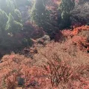 はと 断捨離 まとめ買い(3点〜)値引きの画像