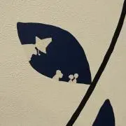 Chisaの画像