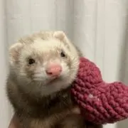 モカママいくらの画像