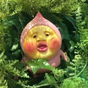 ももたろう