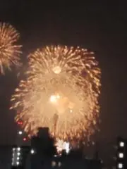 ササキヤの画像