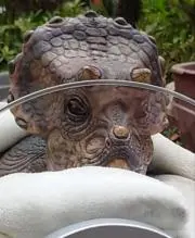 miの画像