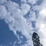 Kayの画像