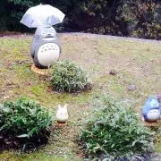 まるまるの画像