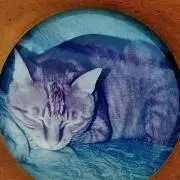 みつじろうの画像