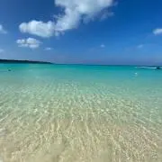 はれおの画像
