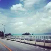 た
