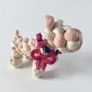 Y & E & Rの画像