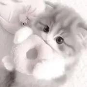 은하の画像