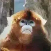 き43☆プロフ必読☆の画像