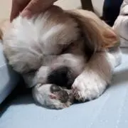 タロさん✦カード整理中✦每日出品✦まとめの画像