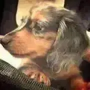 さよ☆プロフ必読☆の画像